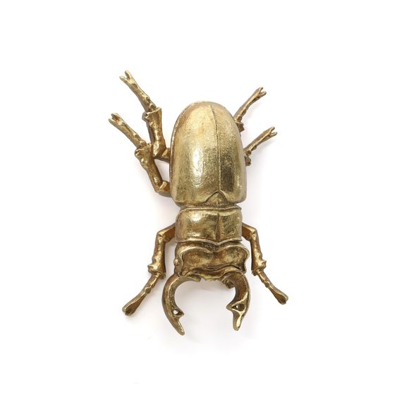 Gold Insect Wall Decor - Unique Bug And Beetle Design Gold Resin, Perfect For😘
